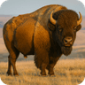 Bison Range logo