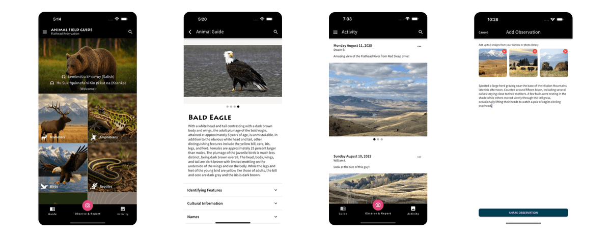 Animal Field Guide case study